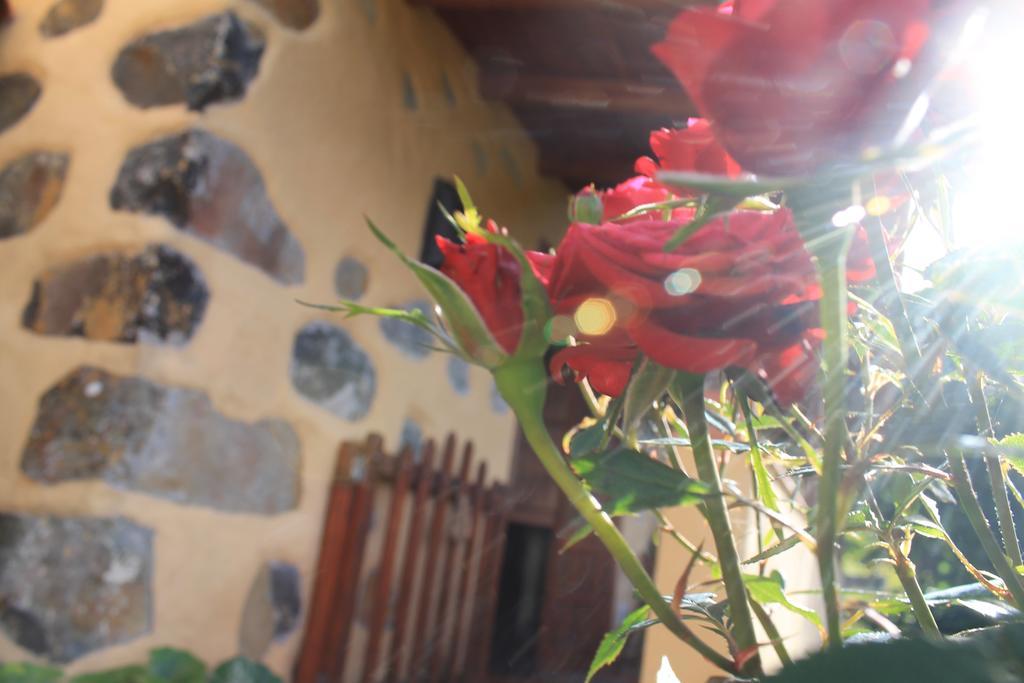 Casa Rural Las Rosas Agulo Extérieur photo